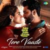 Tere Vaaste - Zara Hatke Zara Bachke